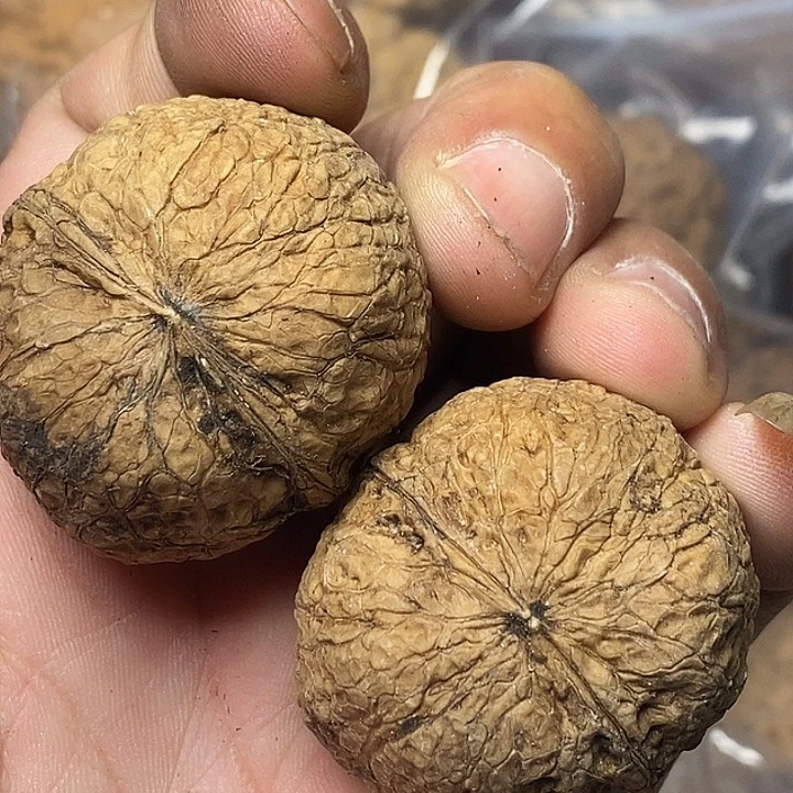 把件文玩核桃云南铁核桃89