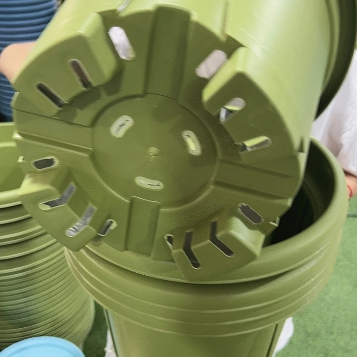 青山口32高28果绿无托5只