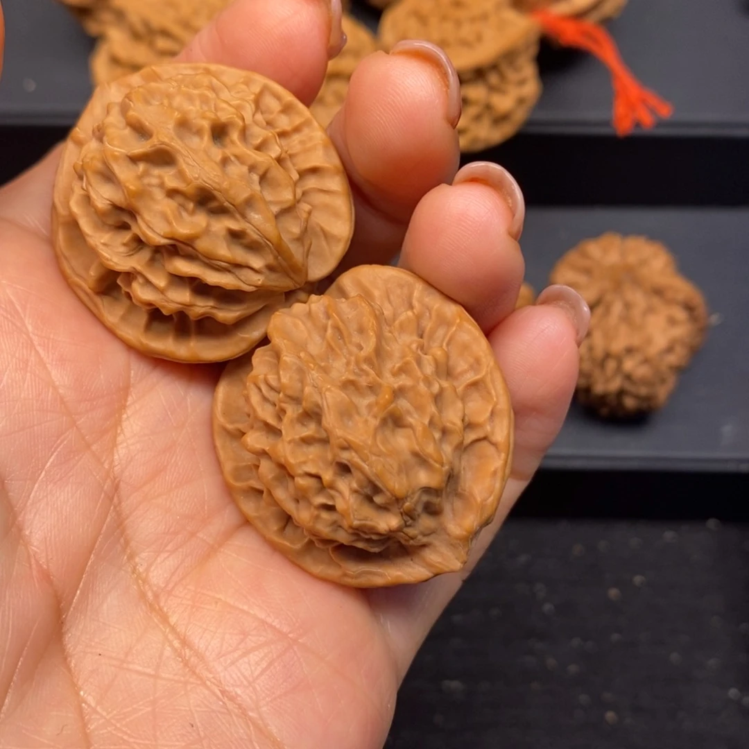 秦岭南北缘和秦岭北麓部分地带