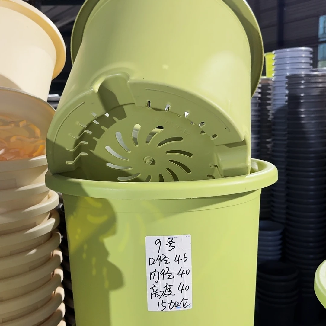 微瑕9#口径46无拖果绿3个