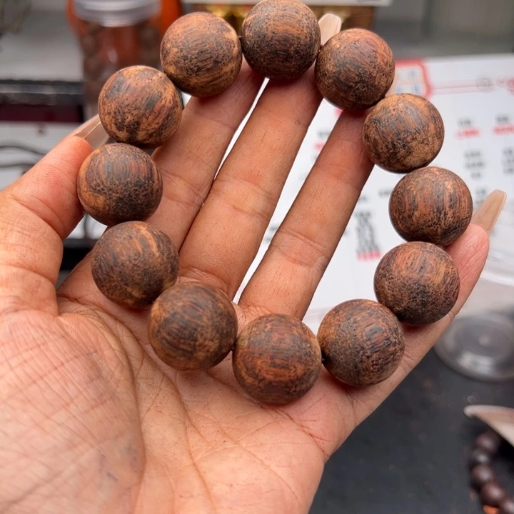 藤类降真香缅甸东枝料绿油爆甲2.0