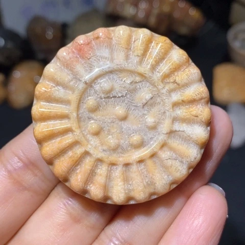 【闪购商品】硅化玉吊坠(不含链)未镶嵌