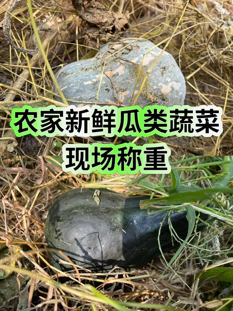 25号【新鲜瓜类】农家自种蔬菜现场称重-以实际下单瓜为准介意勿拍