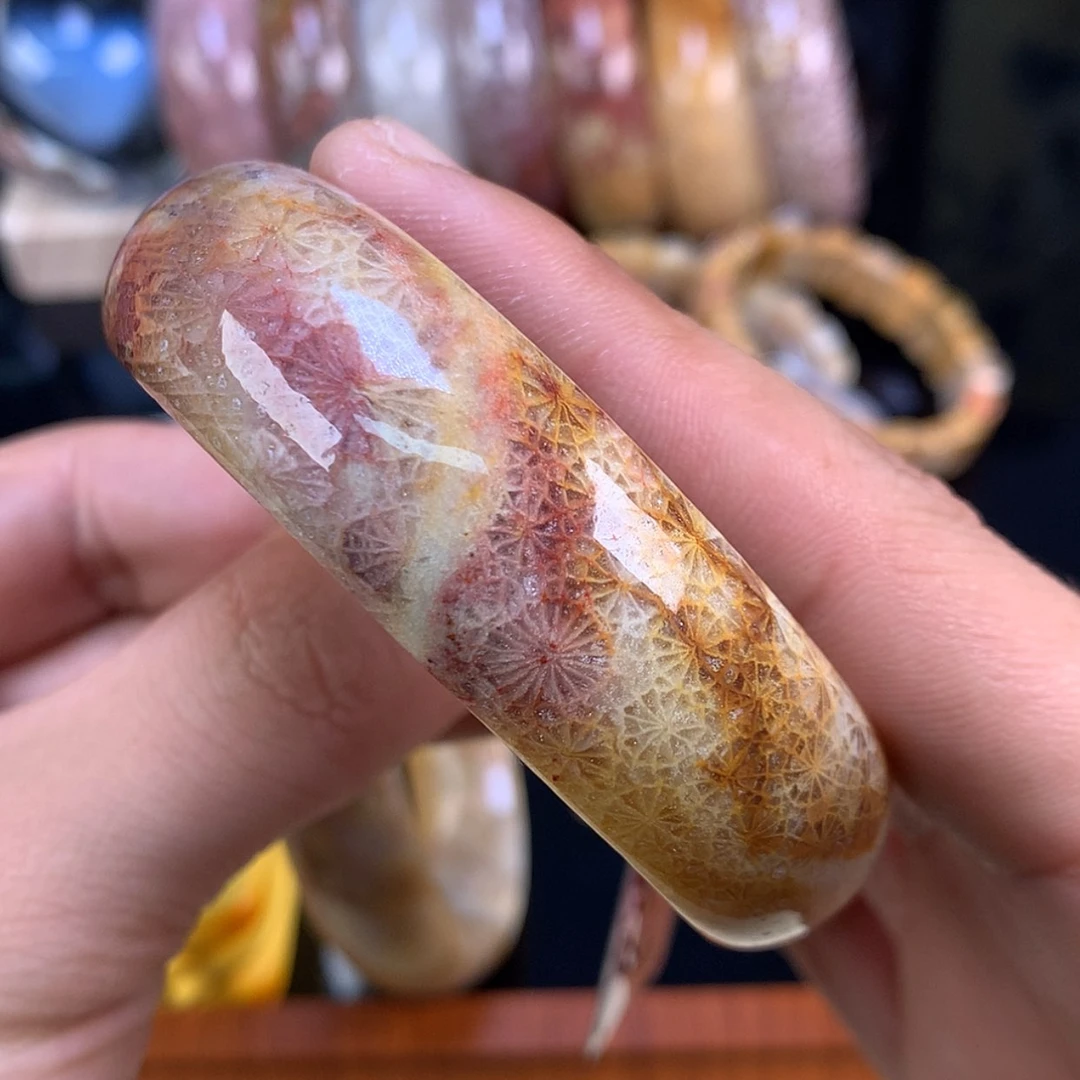 【闪购商品】颈饰未镶嵌硅化珊瑚（珊瑚玉）86号57.7圈红彩蕾丝