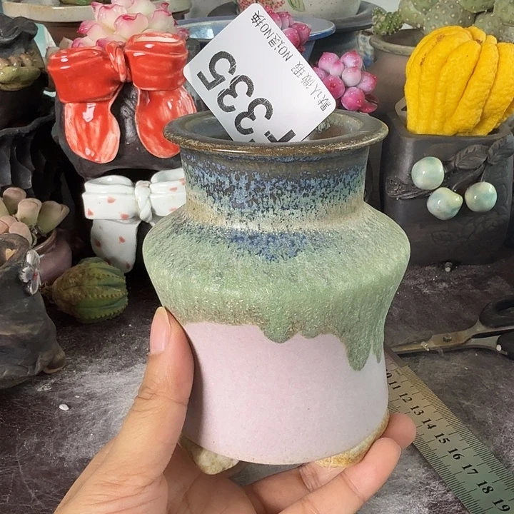 重庆小燕子欢迎大家335