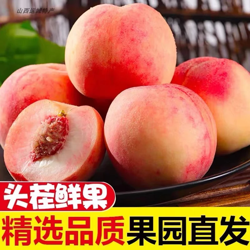 山西脆蜜桃当季新鲜水果现摘-山西晋果园新