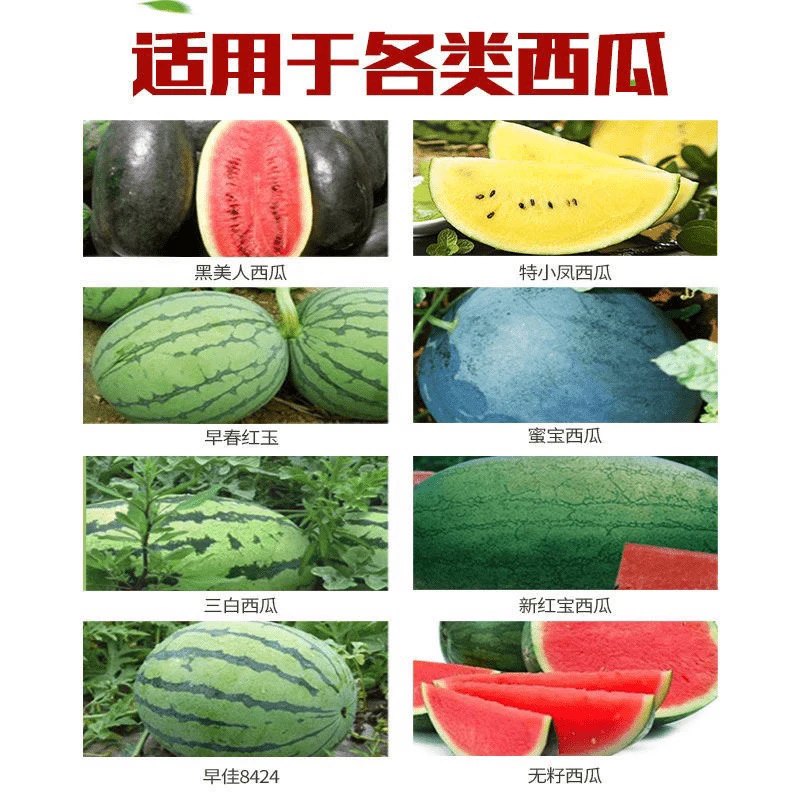 蓟马方案 添加剂