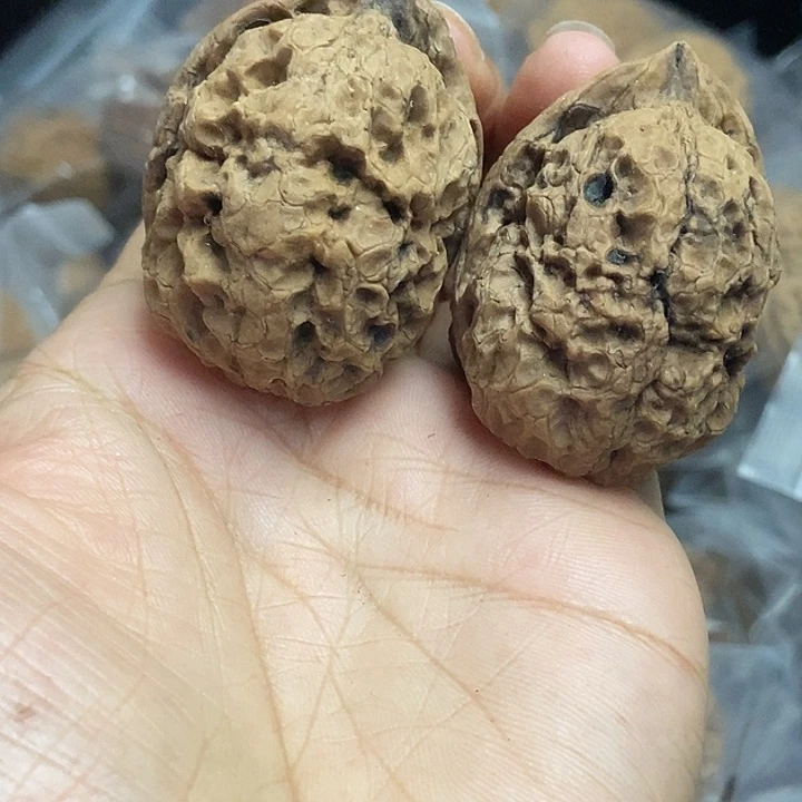 木质类云南铁核桃+44