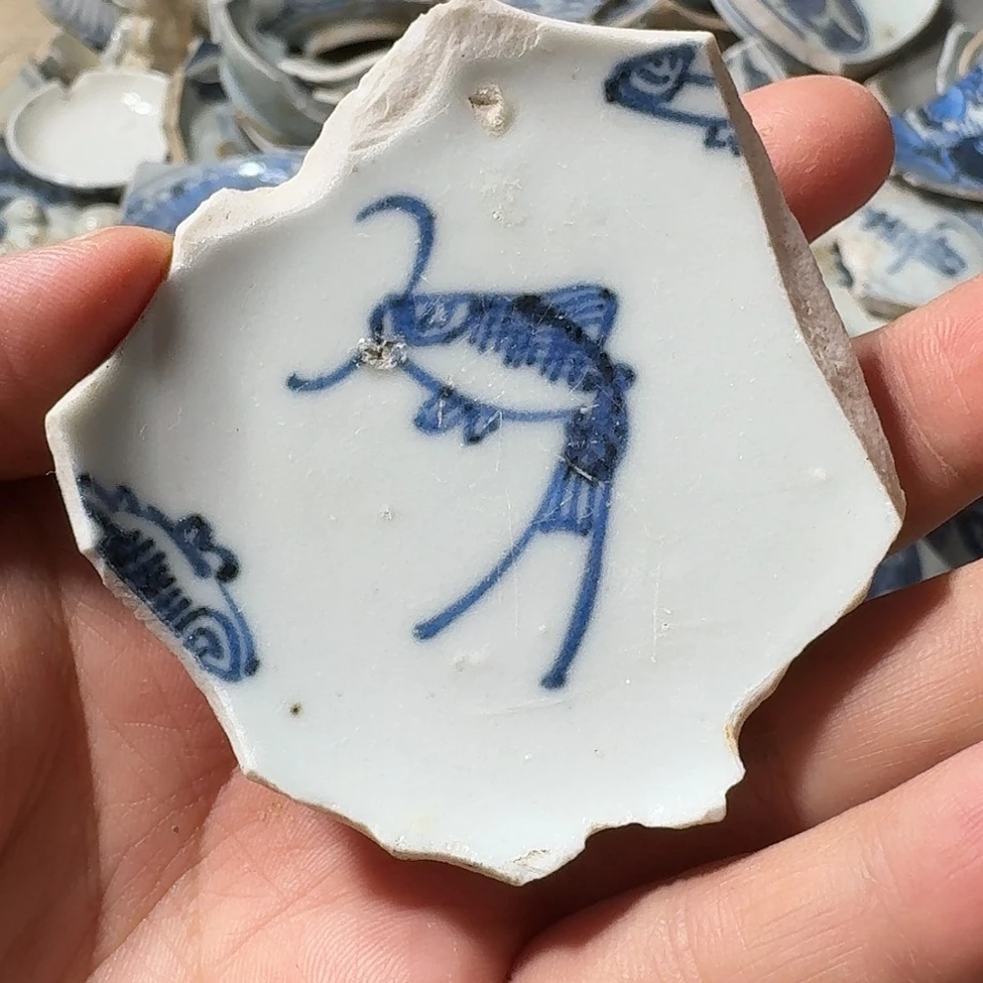 瓷片瓷片标本，顺丰包邮