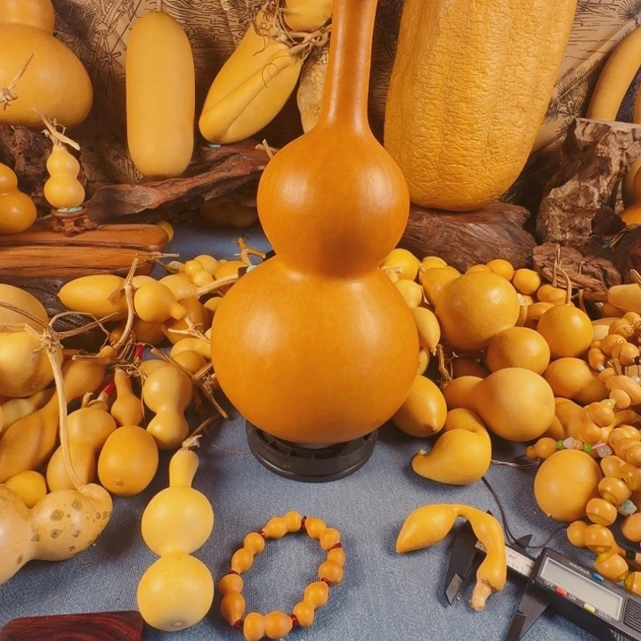 用****6其实去兔兔图图有真相