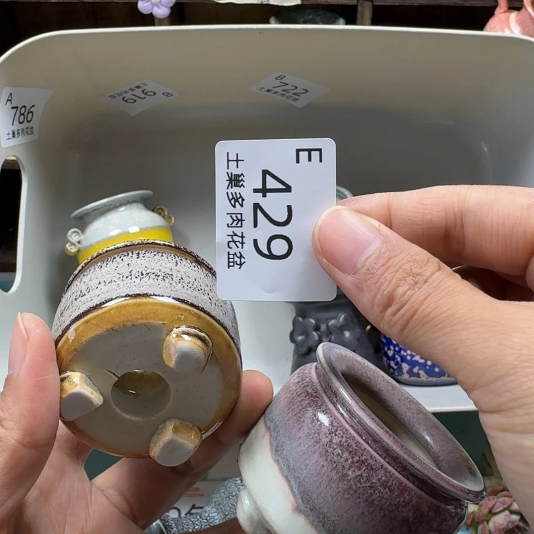 蛋***挞陶瓷艺术设计与制作