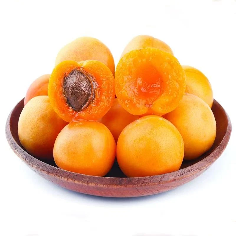 【次日达】新鲜水果新疆吊杆杏新疆维吾尔自治区