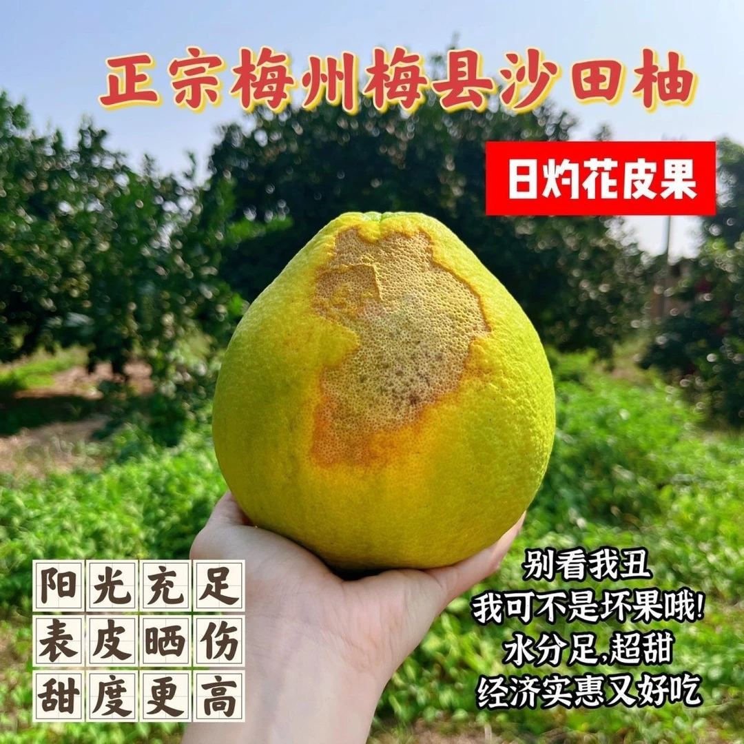 太阳果花皮果包邮新鲜梅州金柚沙田柚自产自销特产甜水果孕妇