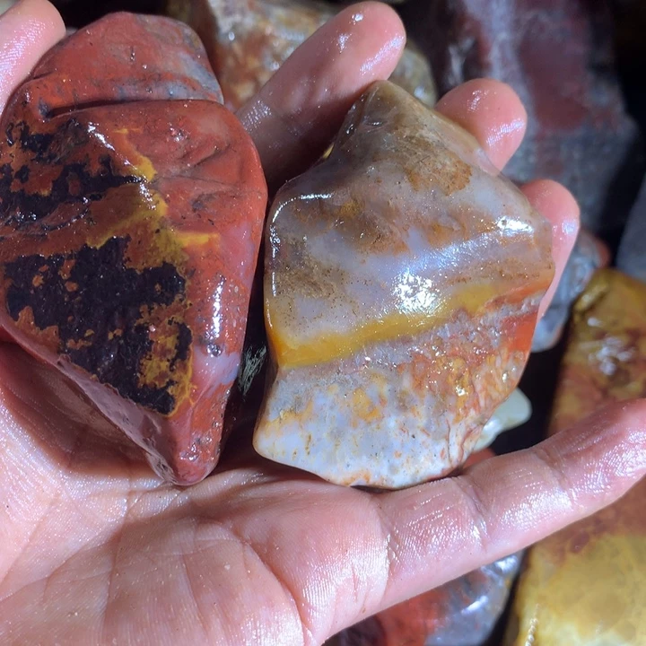 治***人寿山石88888888888888