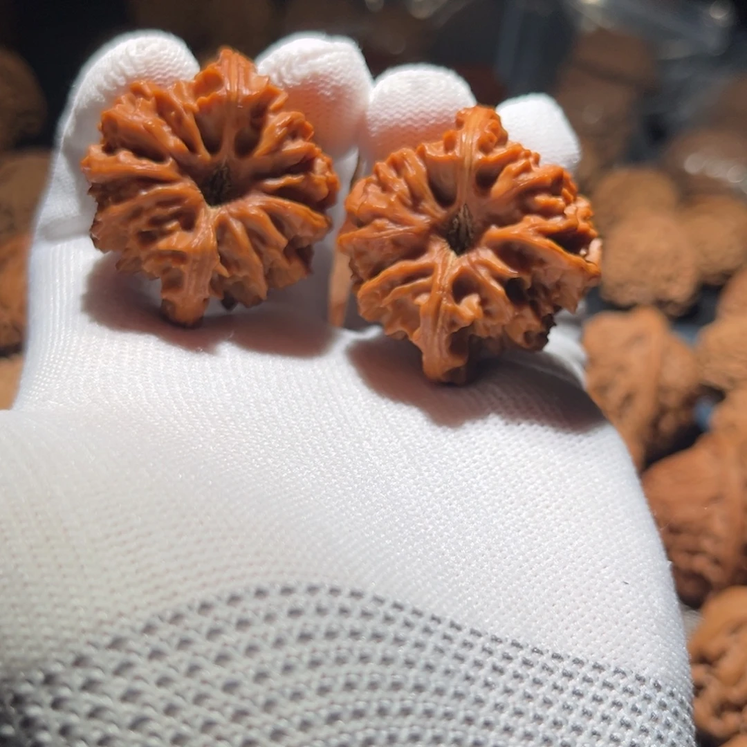 Z***I核桃38毕业大龙核桃