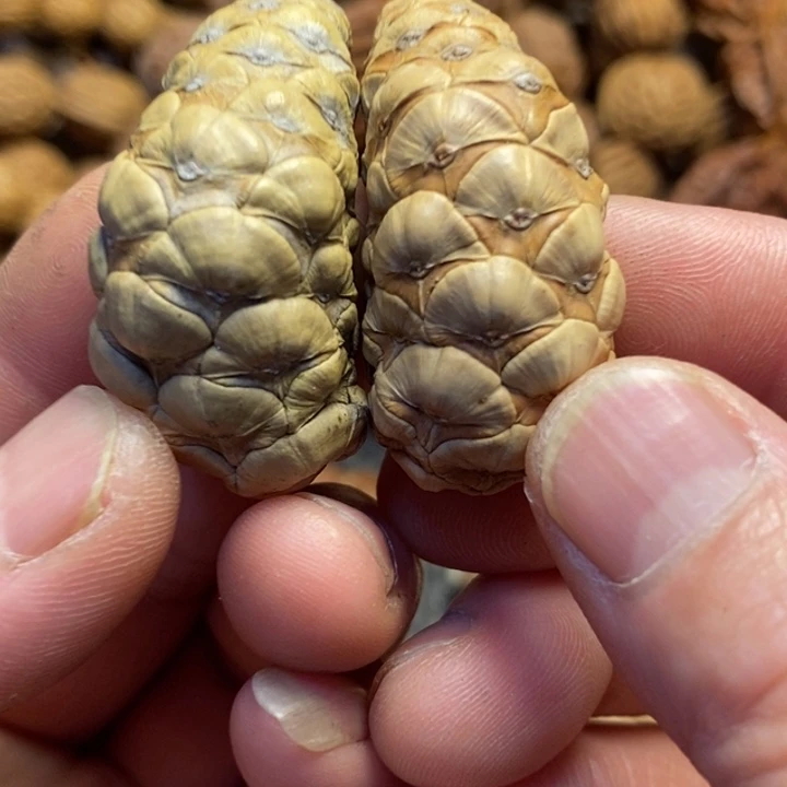 桃核吊坠东北特产23