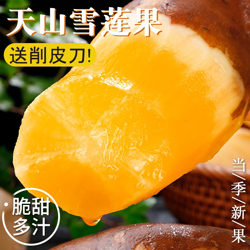 云南天山雪莲果新鲜水果蔬菜脆甜大果当季应季整箱产地直发