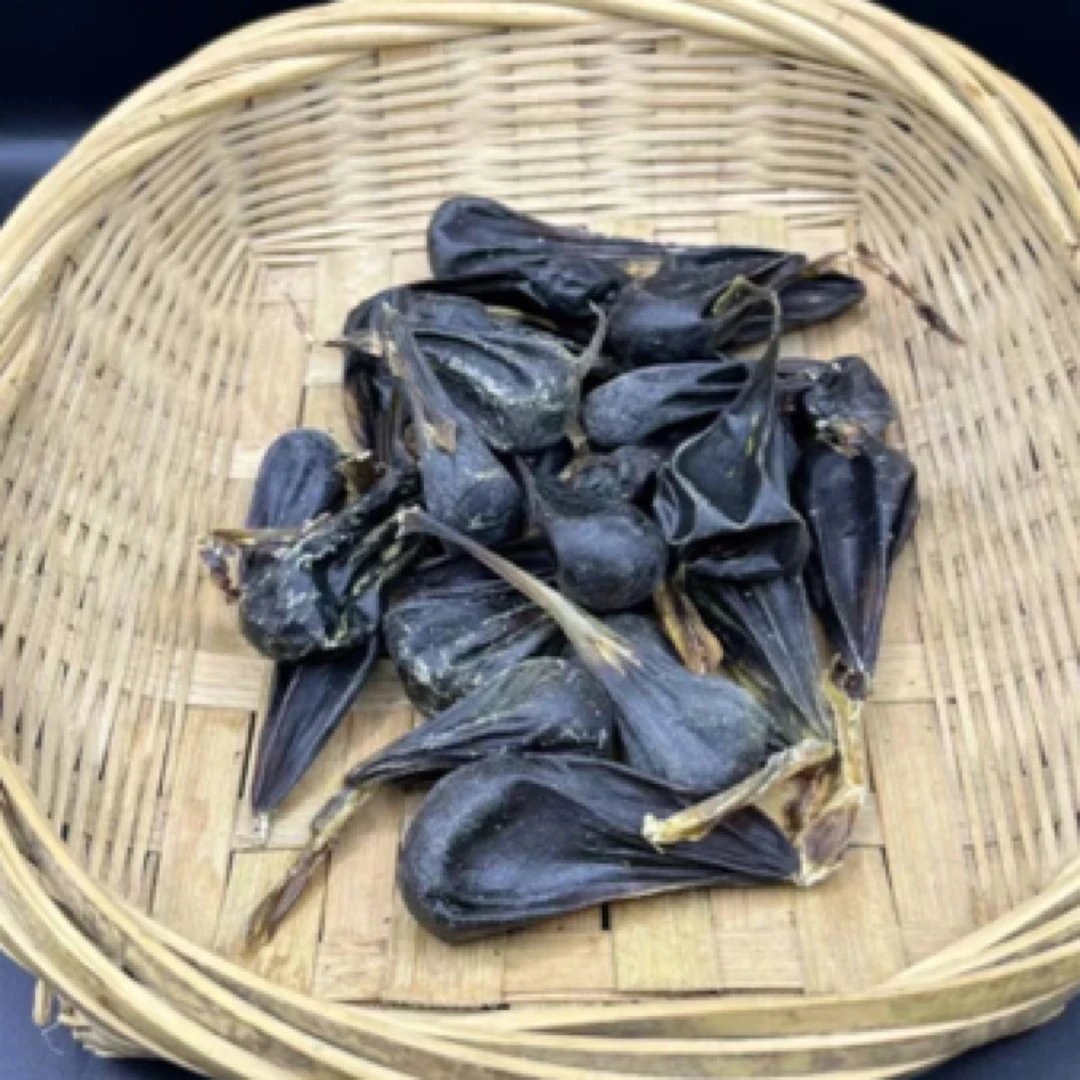 深山好货 源自农家-1蛇胆