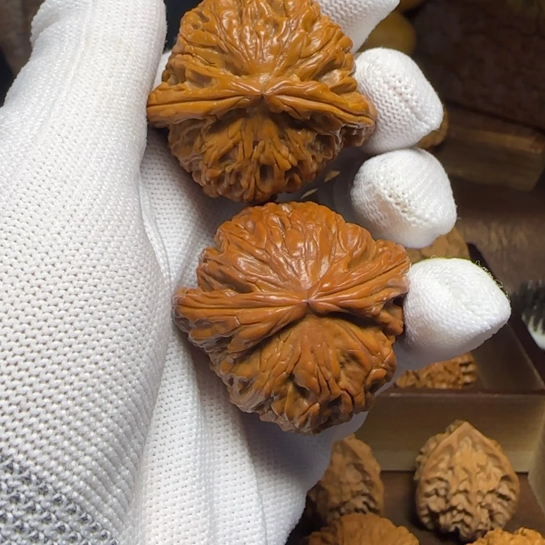 把件文玩核桃白狮子（球白龟背）