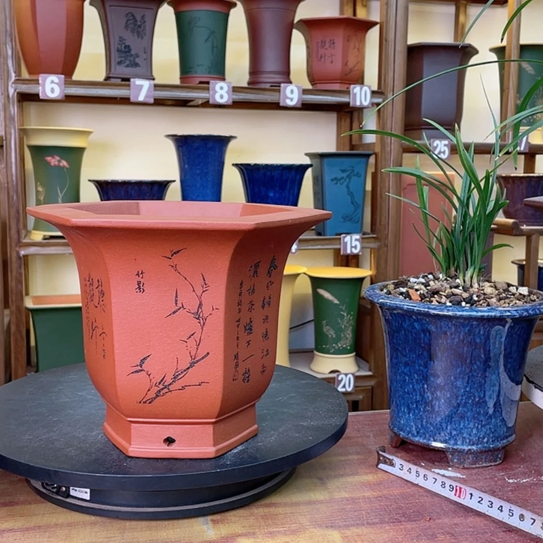 【闪购商品】紫砂花盆兰花125555555685425588