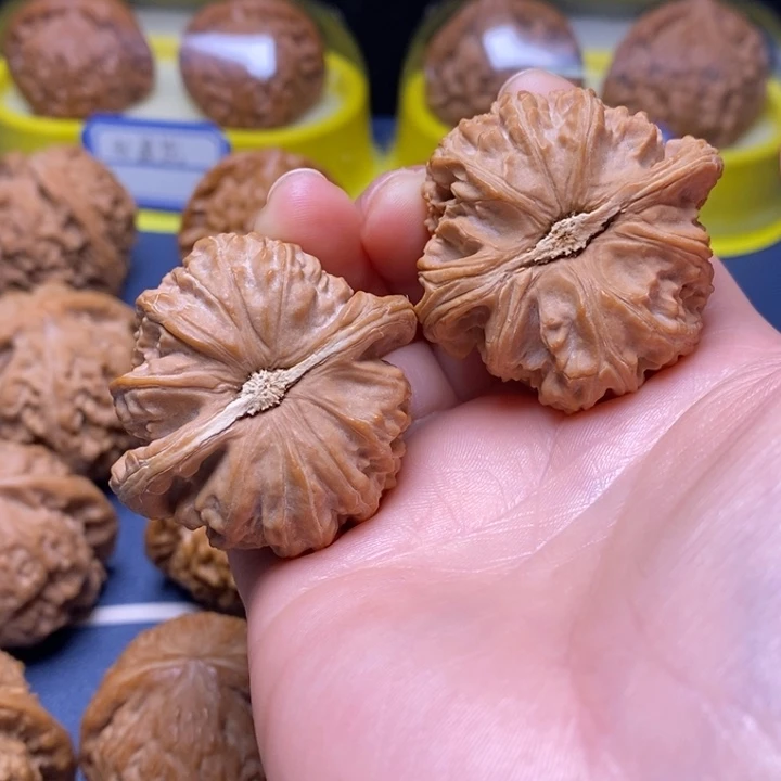 文玩核桃把件牛**忙闷白