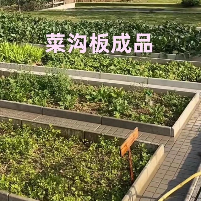 水泥菜地沟板菜地沿路农村建设庭院花园果园菜园专用混凝土菜沟板