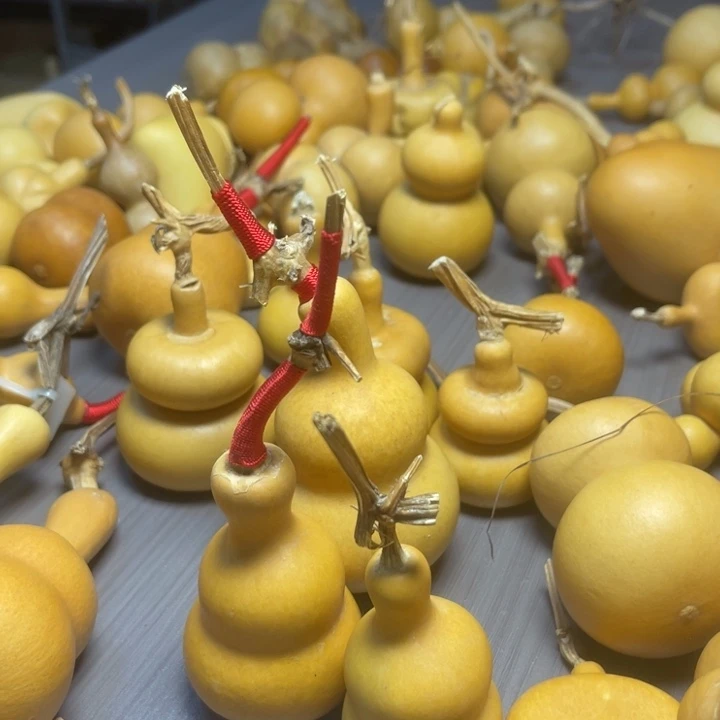 文***超阿莫只有我陌陌陌陌了