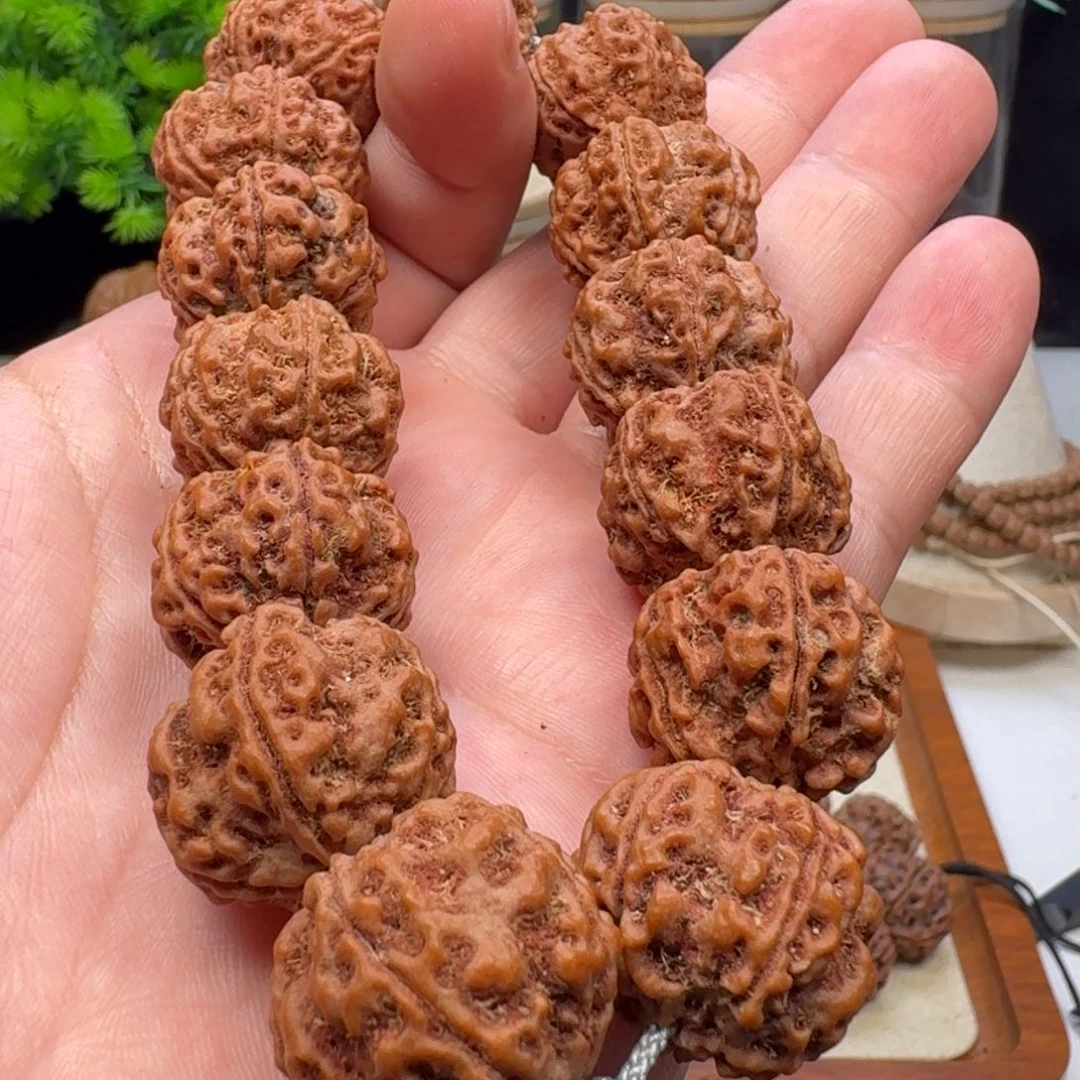 手串金刚菩提蜂窝双龙