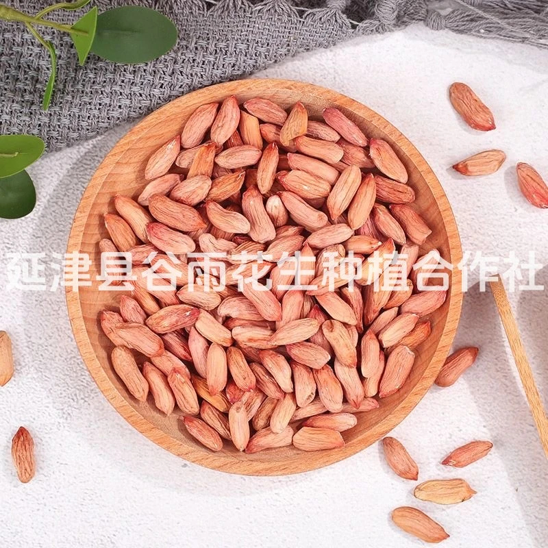 正宗山东瘪花生米农家手工挑选瘪仁生花生低油甘甜现脱壳秋季新货