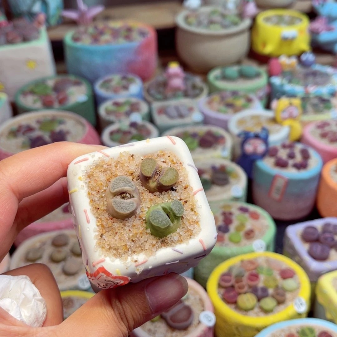 ?****?168。888888888888888