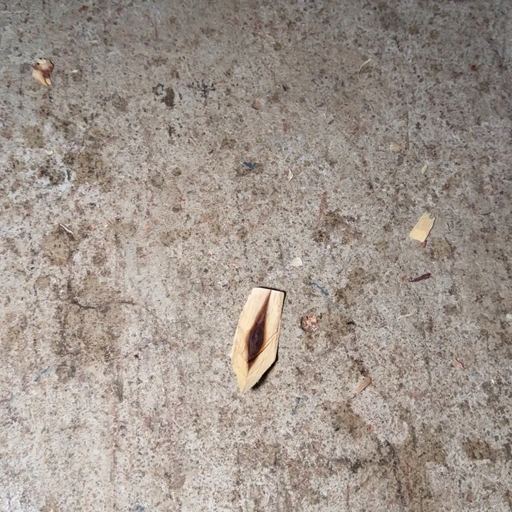 T***Y木海南，海北飞灰尘。甘受商于仪诳楚