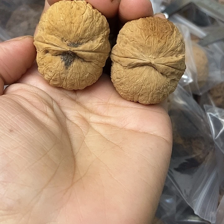 文玩核桃把件云南铁核桃基地5