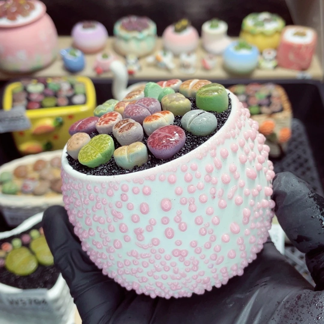 夜间零下地区拍保温箱w5707