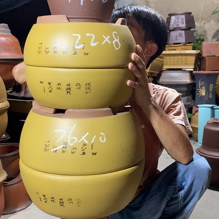 紫砂紫砂紫砂紫砂