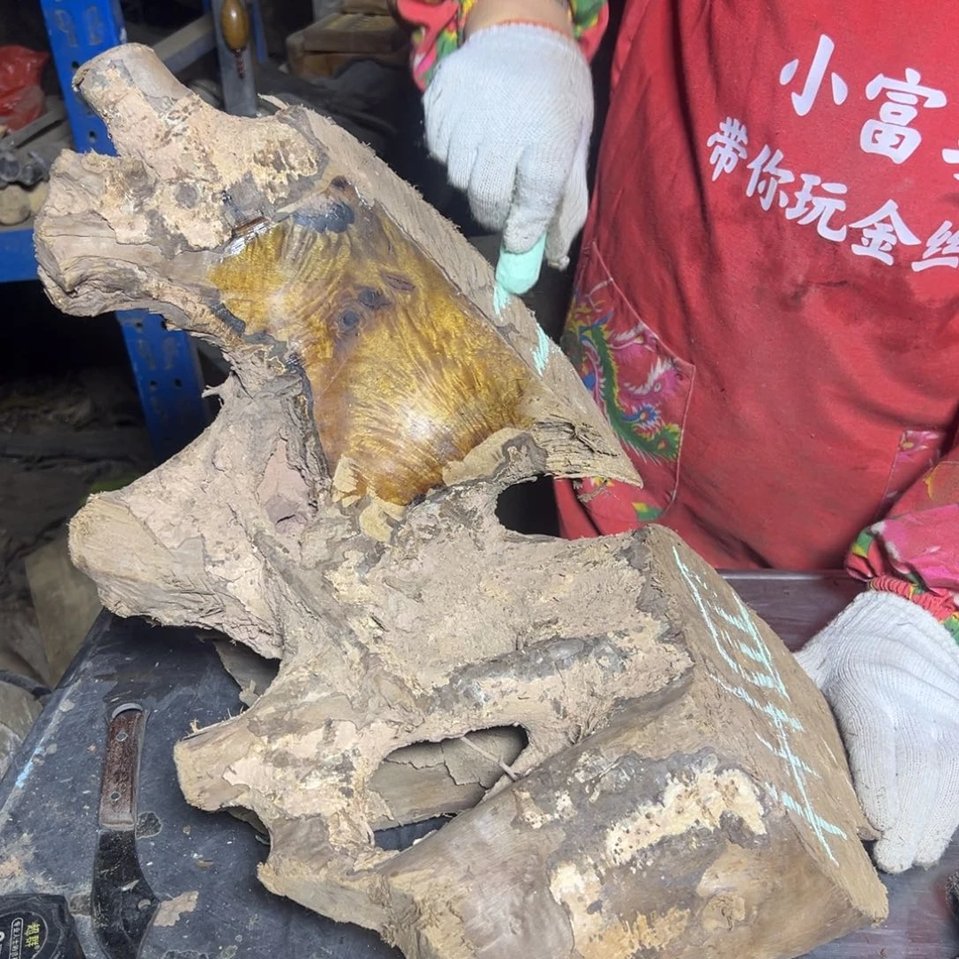 青***檬金丝楠22222222222222222222