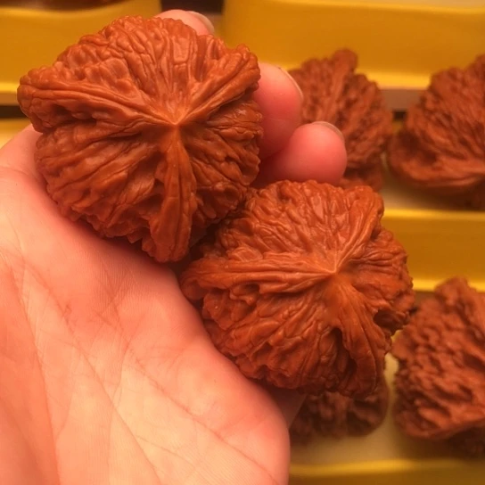 哎***！核桃核桃核桃核桃核桃