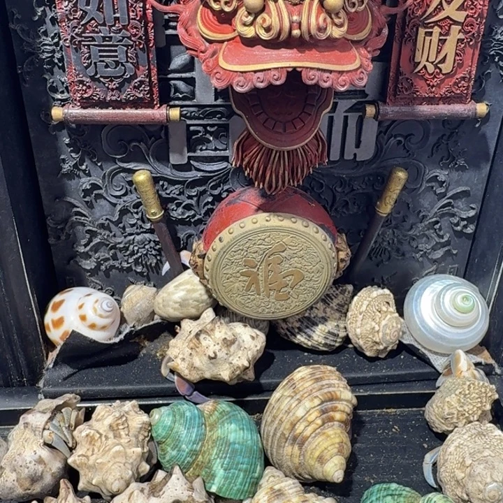 小号紫陆寄居蟹包邮包邮包邮