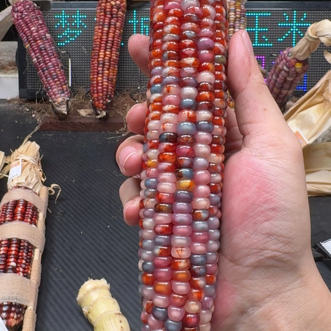 温***煮吊坠柏香籽/百香籽