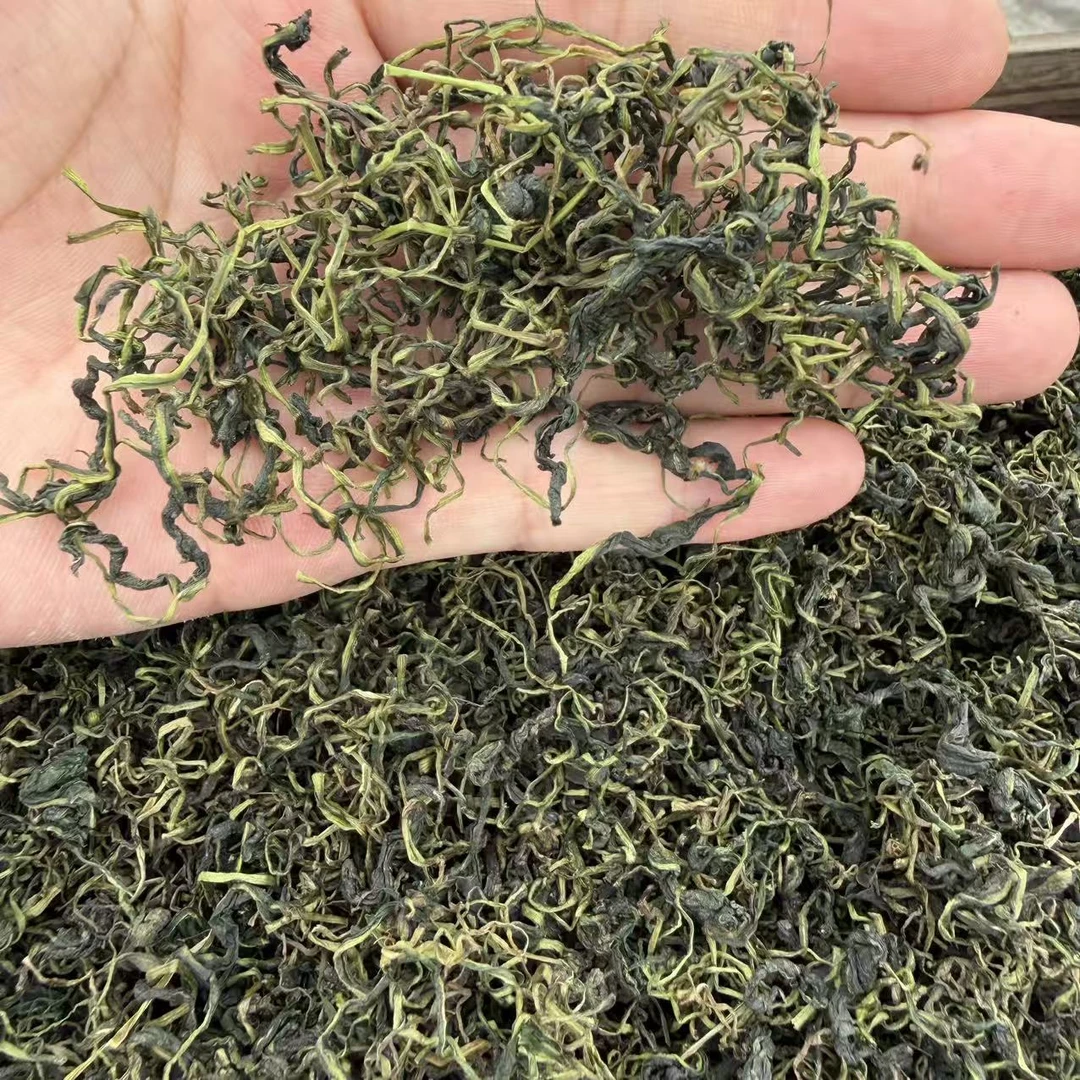老乡深山自采蒲公英