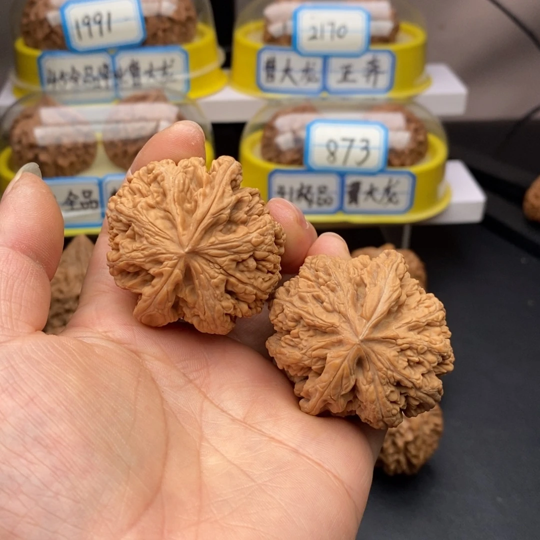 白***️把件文玩核桃粗筋