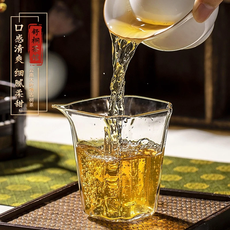 【桐微茶业】2025年头春头采倚邦生茶