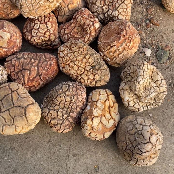 恒***技石材奇石怪石摆件