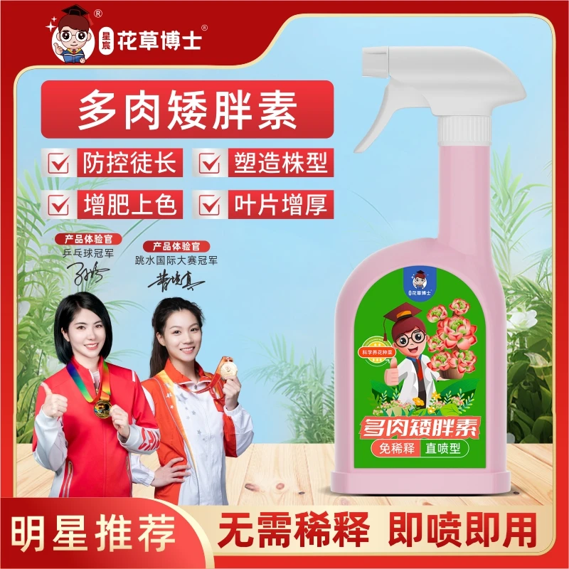 星宸花草博士多肉矮胖素多肉植物适用免稀释即喷即用