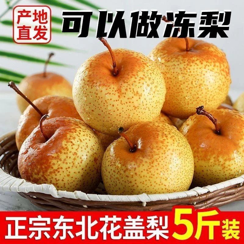 东北特产正宗花盖梨新鲜酸甜多汁可做冻梨整箱包邮