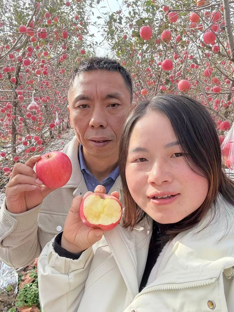 内蒙 海南 新疆 西藏专属陕西正宗红富士苹果
