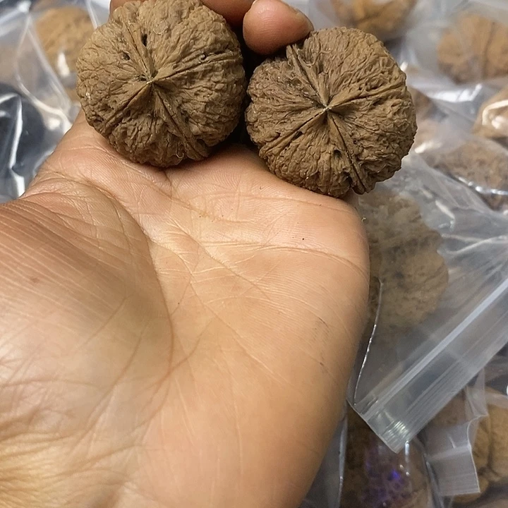 核桃云南铁核桃基地11