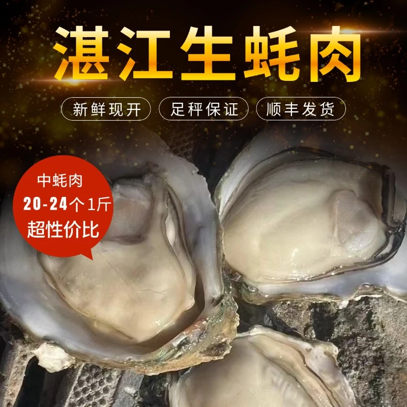 湛江生蚝肉、现开肉质新鲜、味道、脆、鲜、甜更有营养顺丰发货