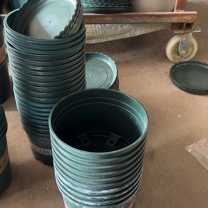 塑料瑕疵矮胖3号10个752