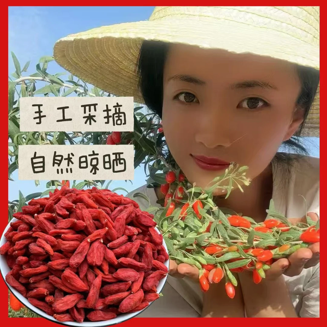 益杞笑靖远枸杞泡酒专用（无熏硫 无亚钠 支持检测）250g *1罐