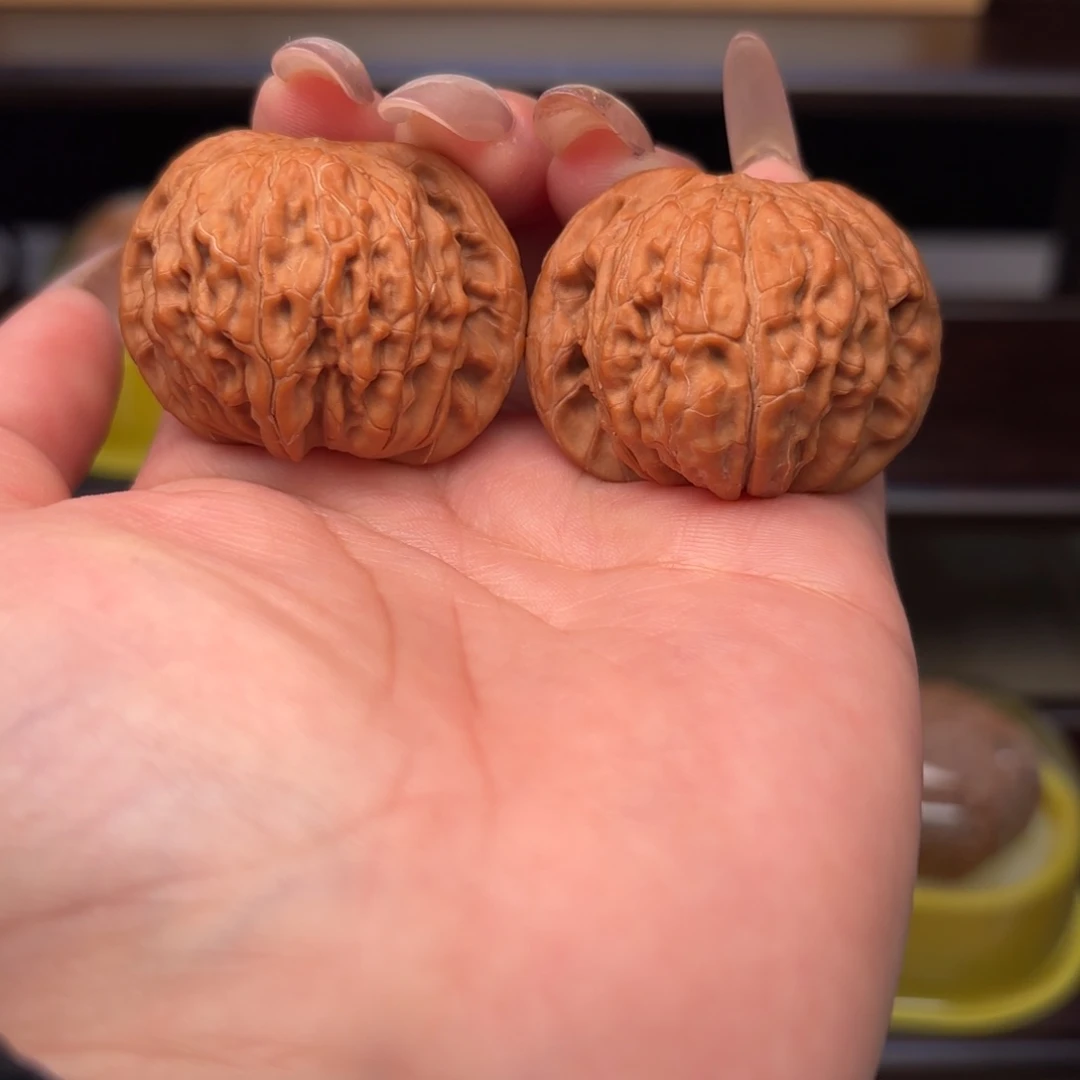 红皮山地正磨 41 尺全品无修